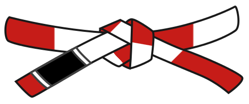 ฺฺBrazilian Jiu Jitsu Belts Requirements