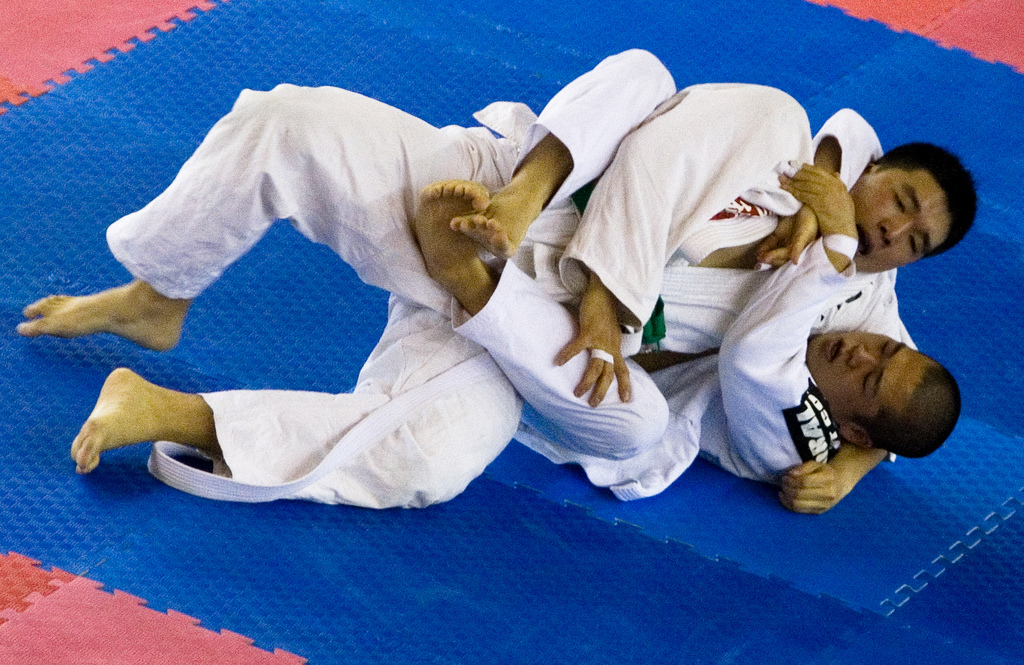 Side Mount To Mount – Step Over
